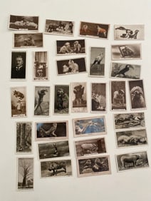 1925 Will's Cigarettes Card Life in The Treetops Collection