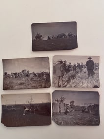 Antique's Brown Brothers Elephant Cambodia Tiger Hunting Photographs
