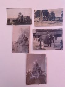 Antique's Brown Brothers Burmese Elephants Bathing Photos (4)