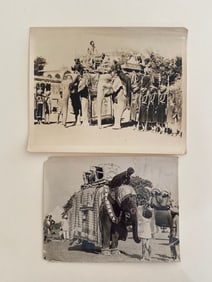 Brown Brothers Original Maharaja's Elephant Photographs