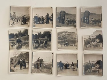 Brown Brothers Original Elephant Photographs
