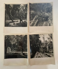 Brown Brothers Original Elephant Photographs (4)