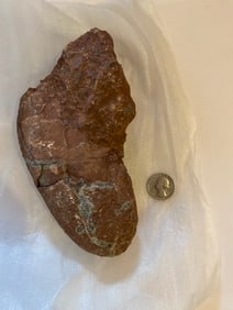 Petrified Velociraptor Dinosaur Egg