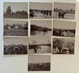 Brown Brothers Original Elephant Photographs