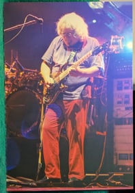 Grateful Dead Type 1 1995 Philadelphia Concert Photograph