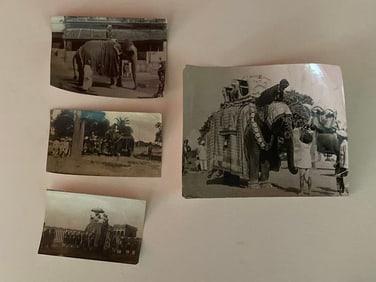 Brown Brothers Original Maharaja's Elephant Photographs