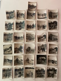 Brown Brothers Original Elephant Photographs (31)