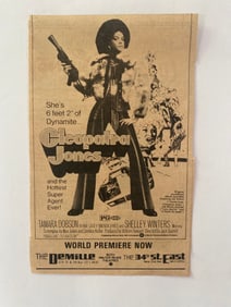 Cleopatra Jones Original Movie Ad Poster