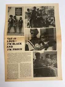 1967 San Francisco Express Black Panther Acticle