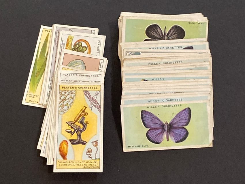 1926 Will's Cigarettes Flowwering Trees & Shrubs Tobacco Cards (1 of 2)