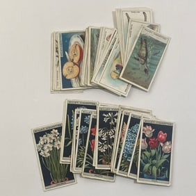 Will's Cigarettes Do You Know Tobacco Cards