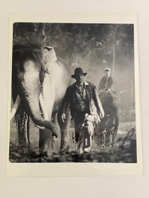 Harrison Ford Indiana Jones Autographed Photo