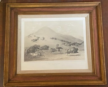 Antique Buffalo Hunt Lithograph by George Catlin