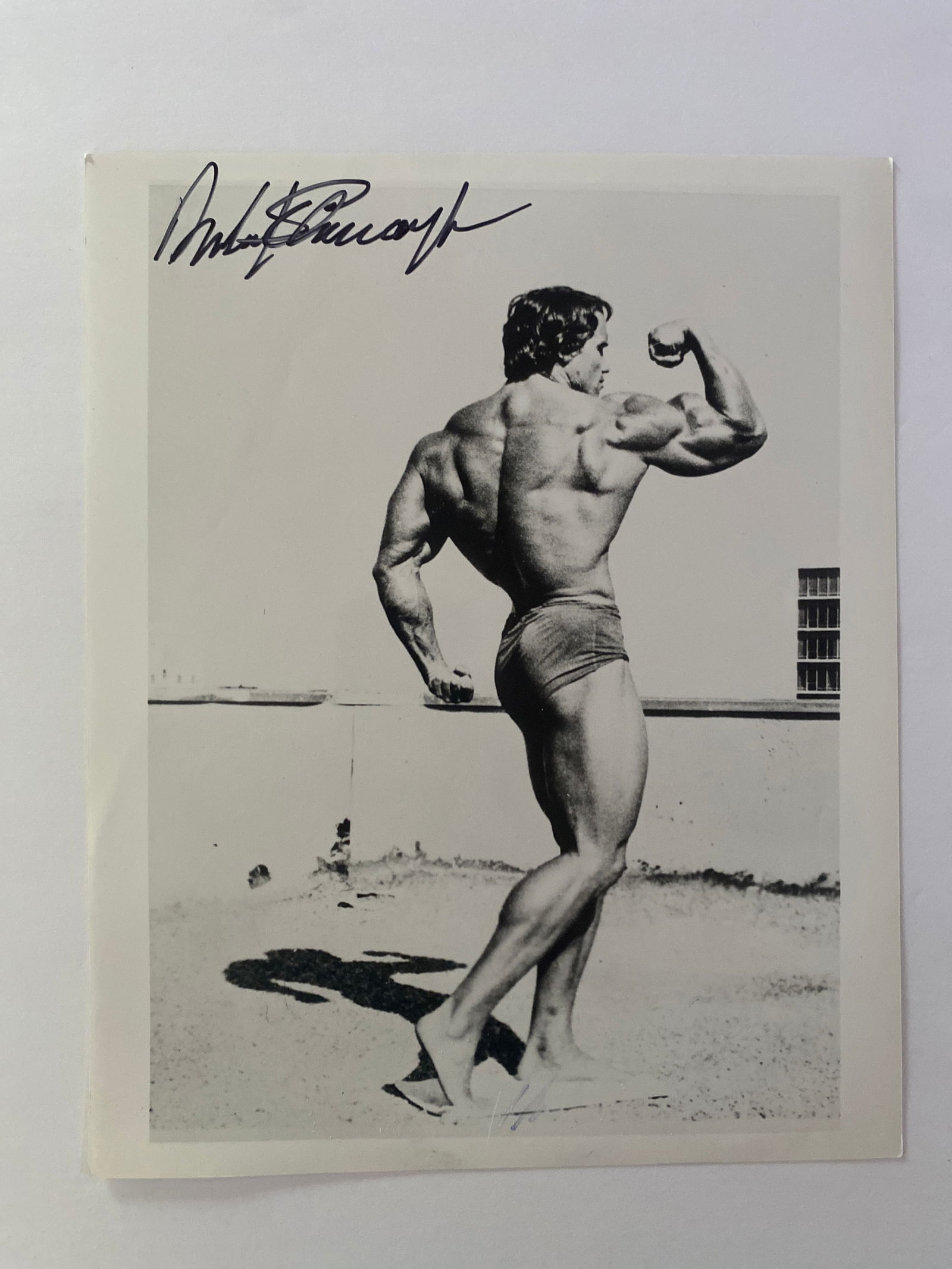 Arnold Schwarzenegger autographed photo (1 of 1)