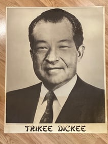 Yippie 1960's Counter Culture Tricky Dicky Poster