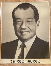 Yippie 1960's Counter Culture Tricky Dicky Poster