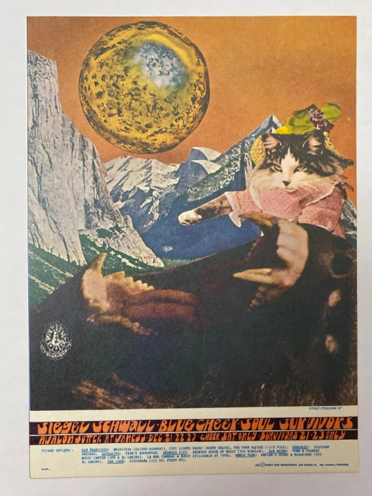 Siegal Schwall 1967 Family Dog Postcard: 1st Printing FD97