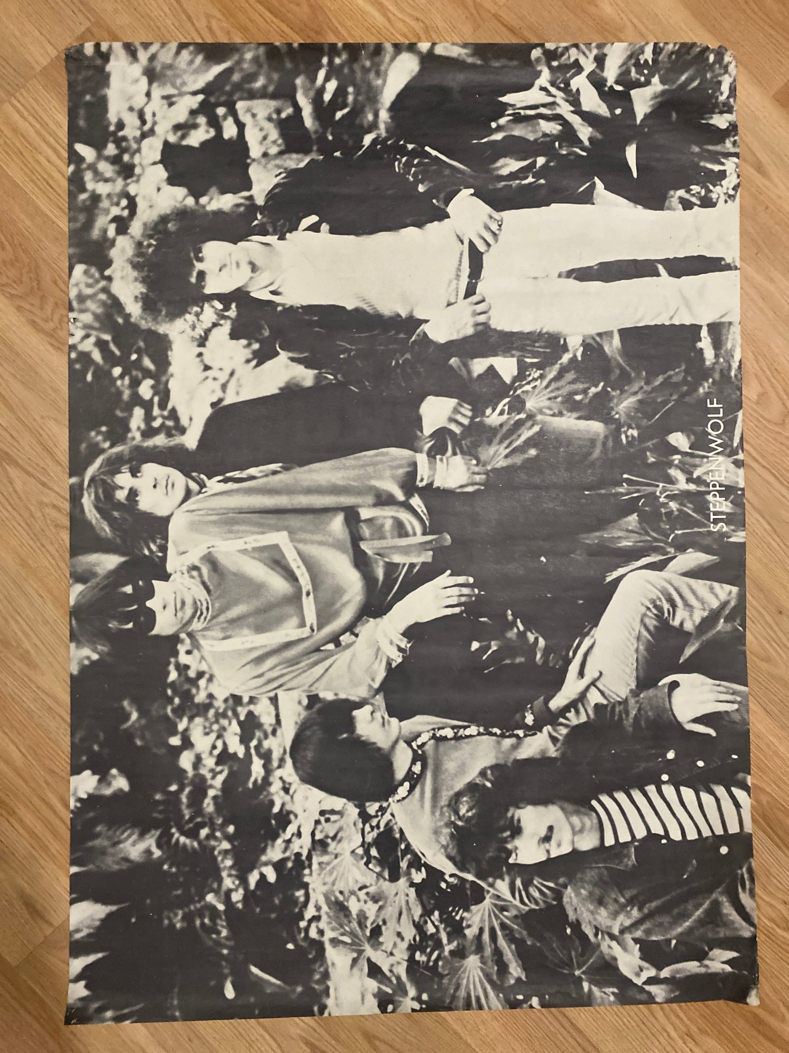 Steppnewolf 1966 Poster: 1st Pritinig 40x29