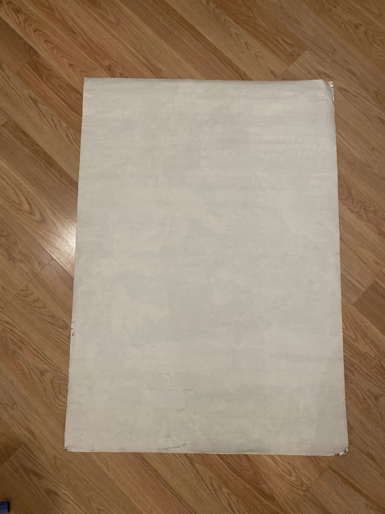 Steppnewolf 1966 Poster - 2