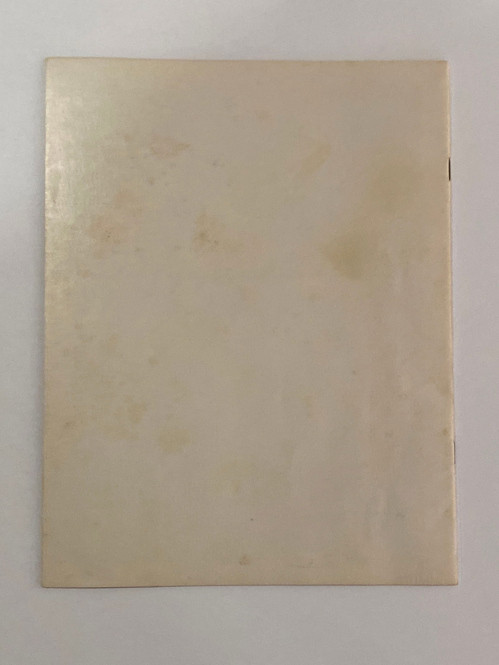 Grateful Dead 1973 RFK Stadium Concert Program - 2