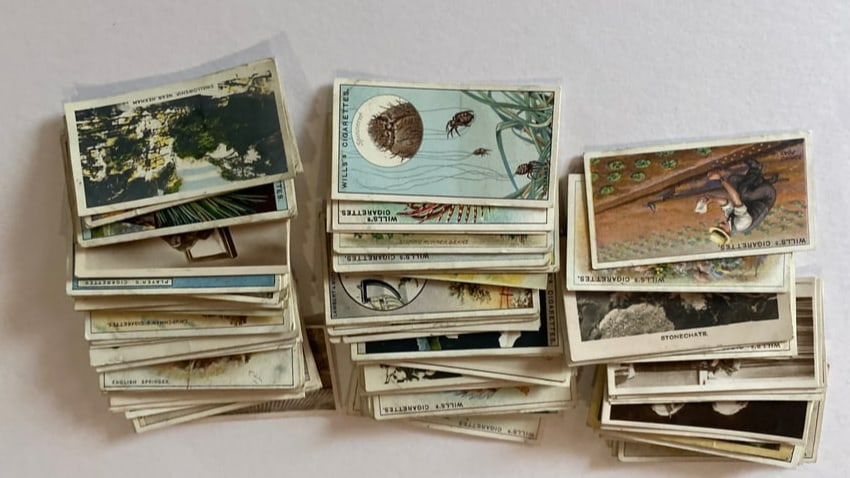 1926 Wills Cigarettes Tobacco Cards: 100 Cards. There are some non-Wills cards in the group
