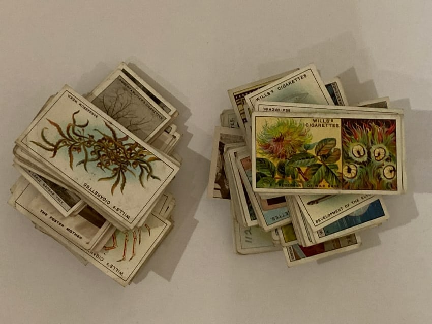 1926 Wills Cigarettes Tobacco Card Lot: 100 Cards. There are some other varieties in the lot