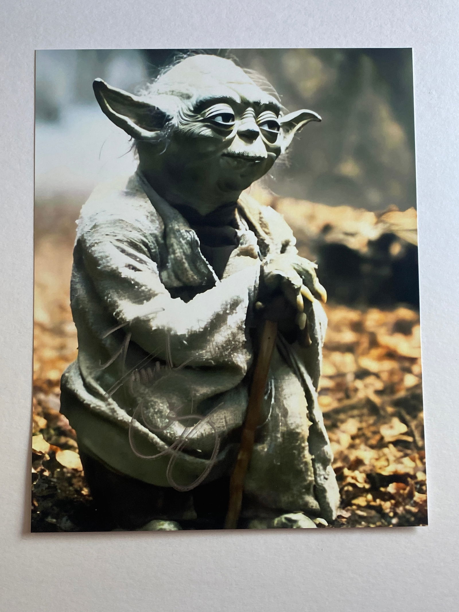 Frank Oz Autographed Star Wars Yoda Photo: Autographed Yoda photo signed by Frank Oz, the performer and puppeteer who voiced and performed Yoda in the Star Wars films and also contributed to Sesame Street and The Muppets. Signed Yoda