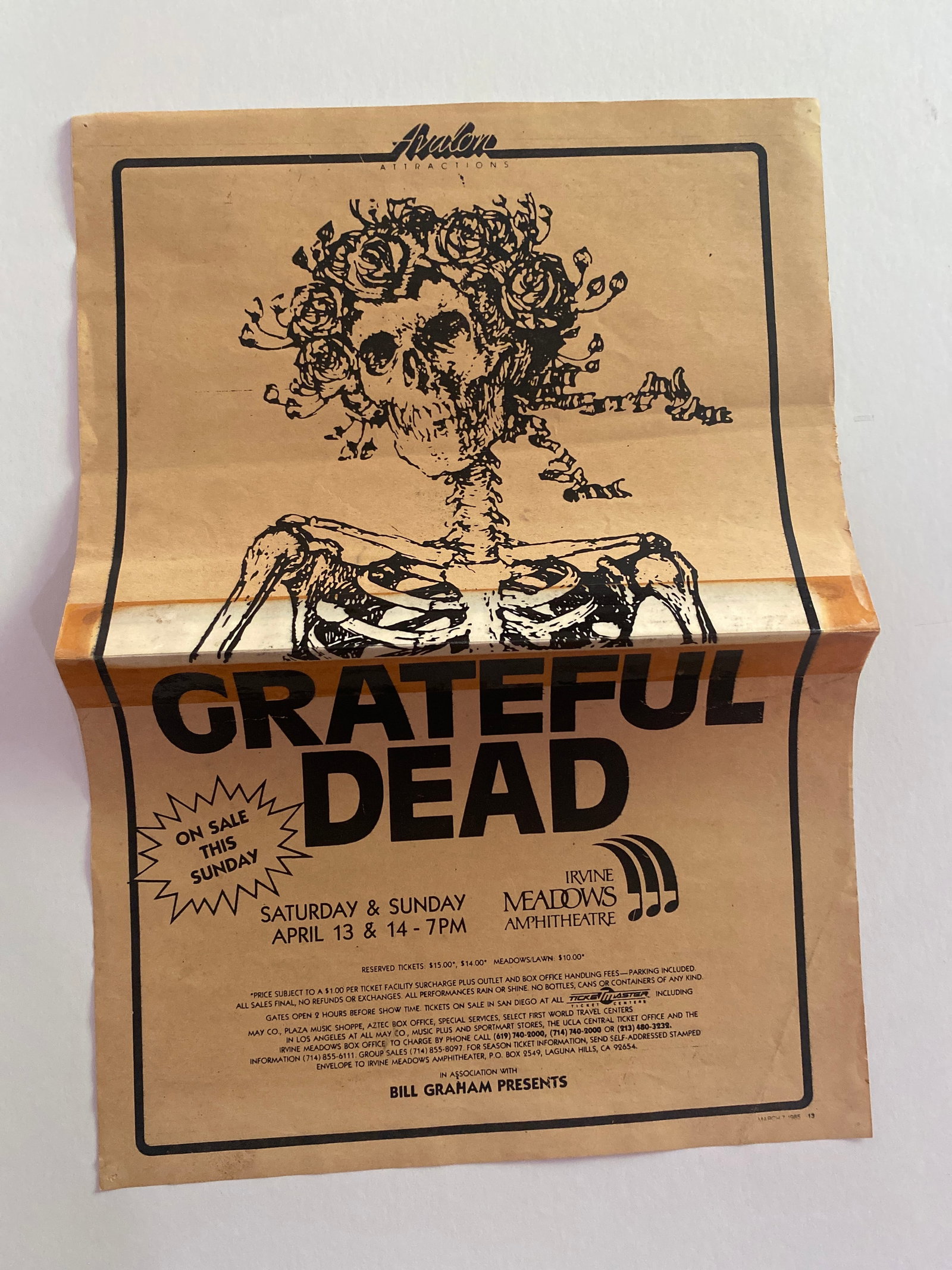 Grateful Dead 1989 Irvine Meadows Amphitheater Poster (1 of 2)