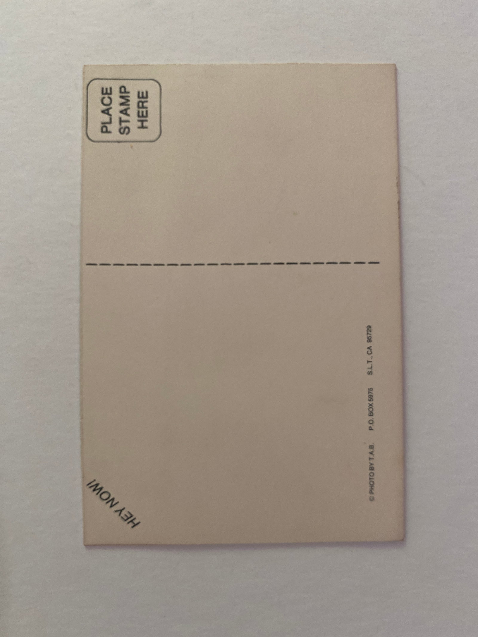Jerry Garcia Grateful Dead Postcard - 2