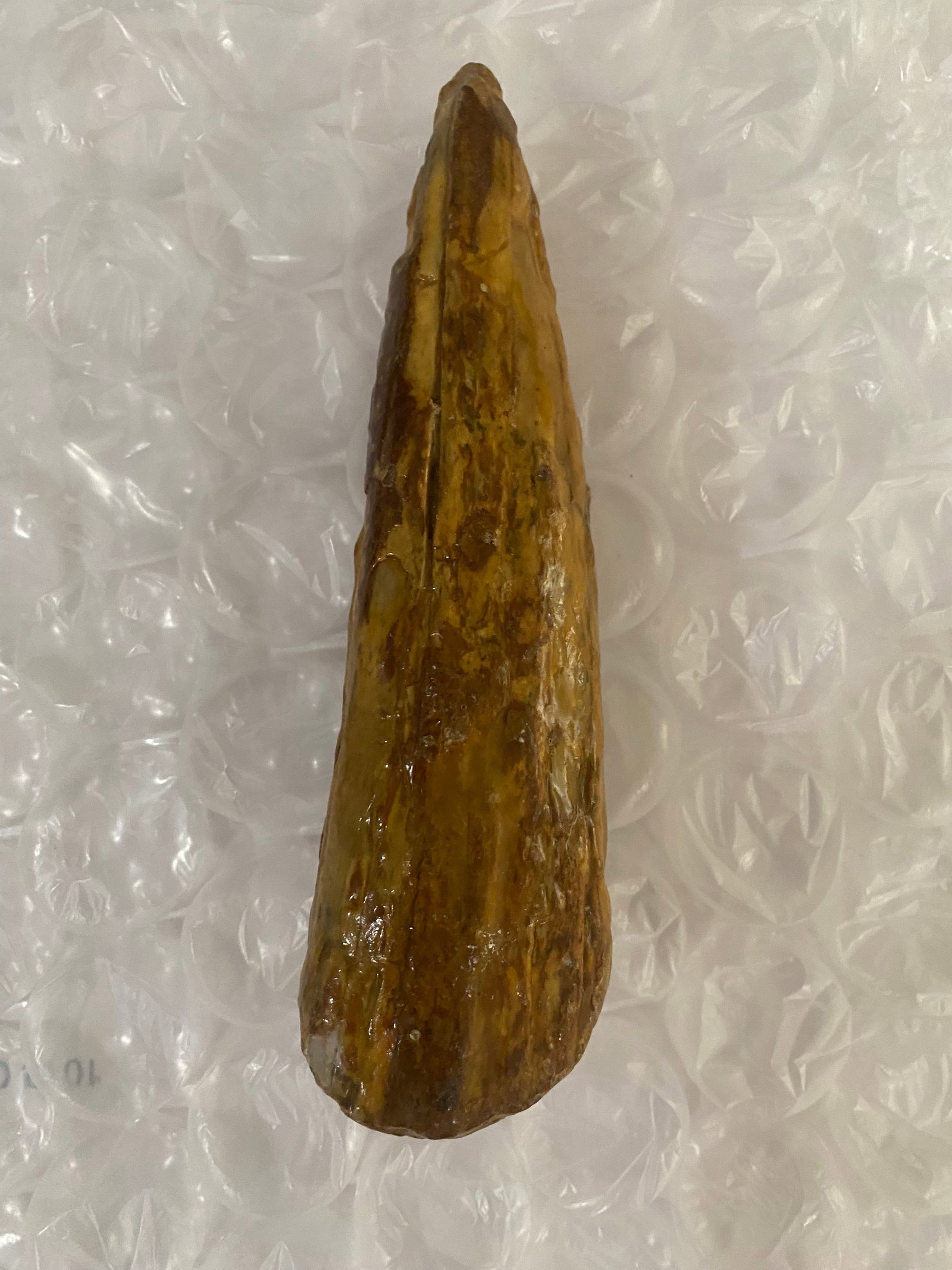 Fossilized Mammoth Tusk Fragment: measures 7.5"