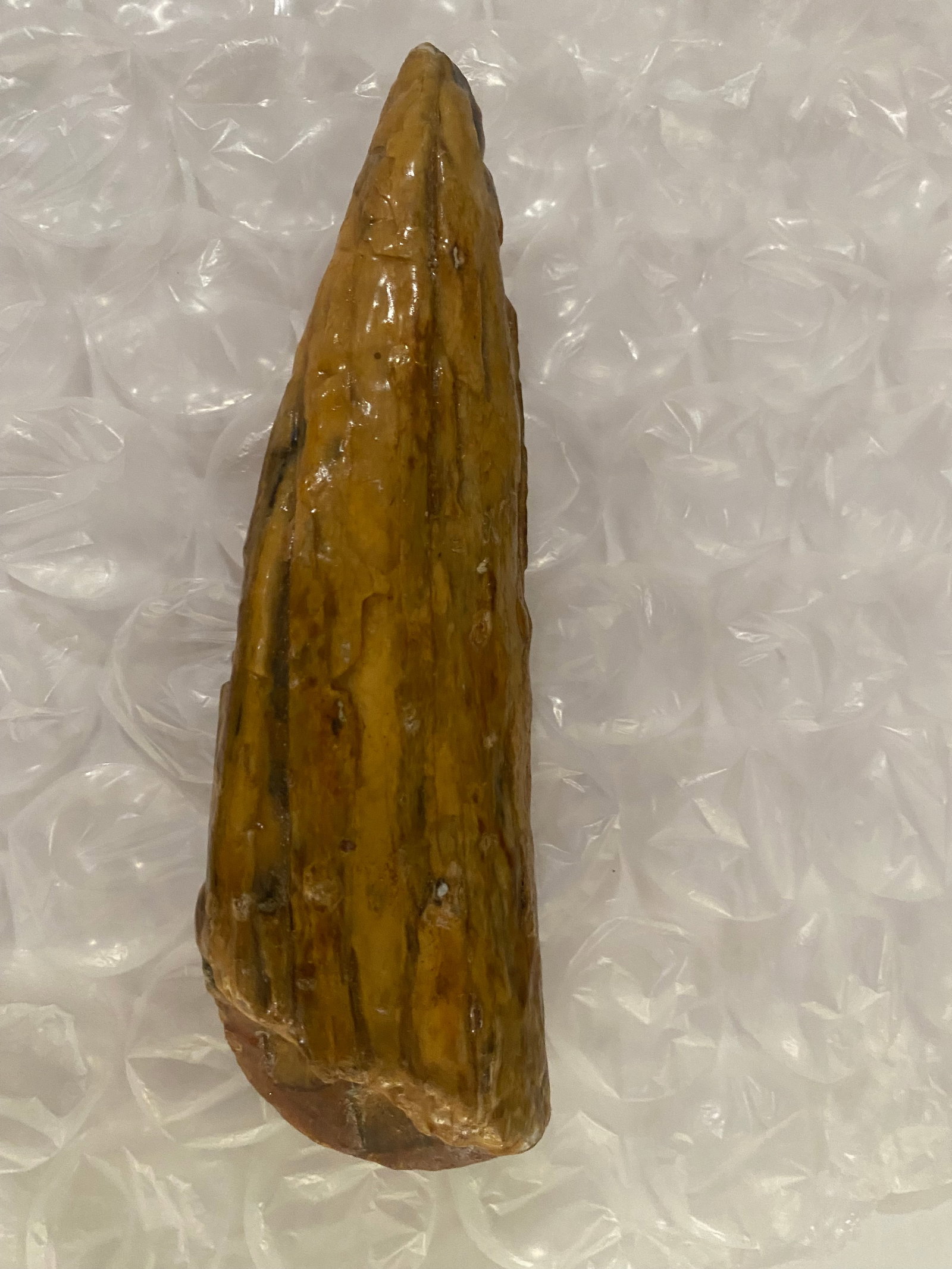 Fossilized Mammoth Tusk Fragment - 3