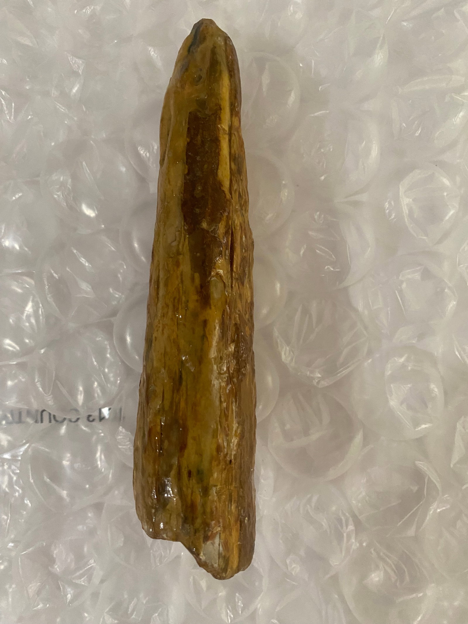 Fossilized Mammoth Tusk Fragment - 4