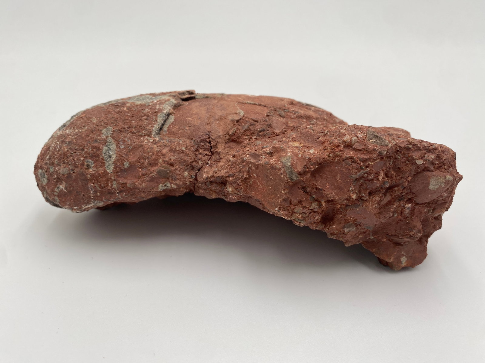 Authentic Fossilized Dinosaur Egg - 2