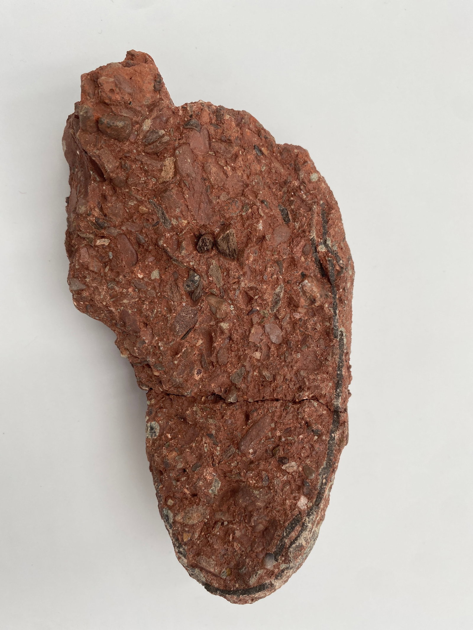 Authentic Fossilized Dinosaur Egg - 3