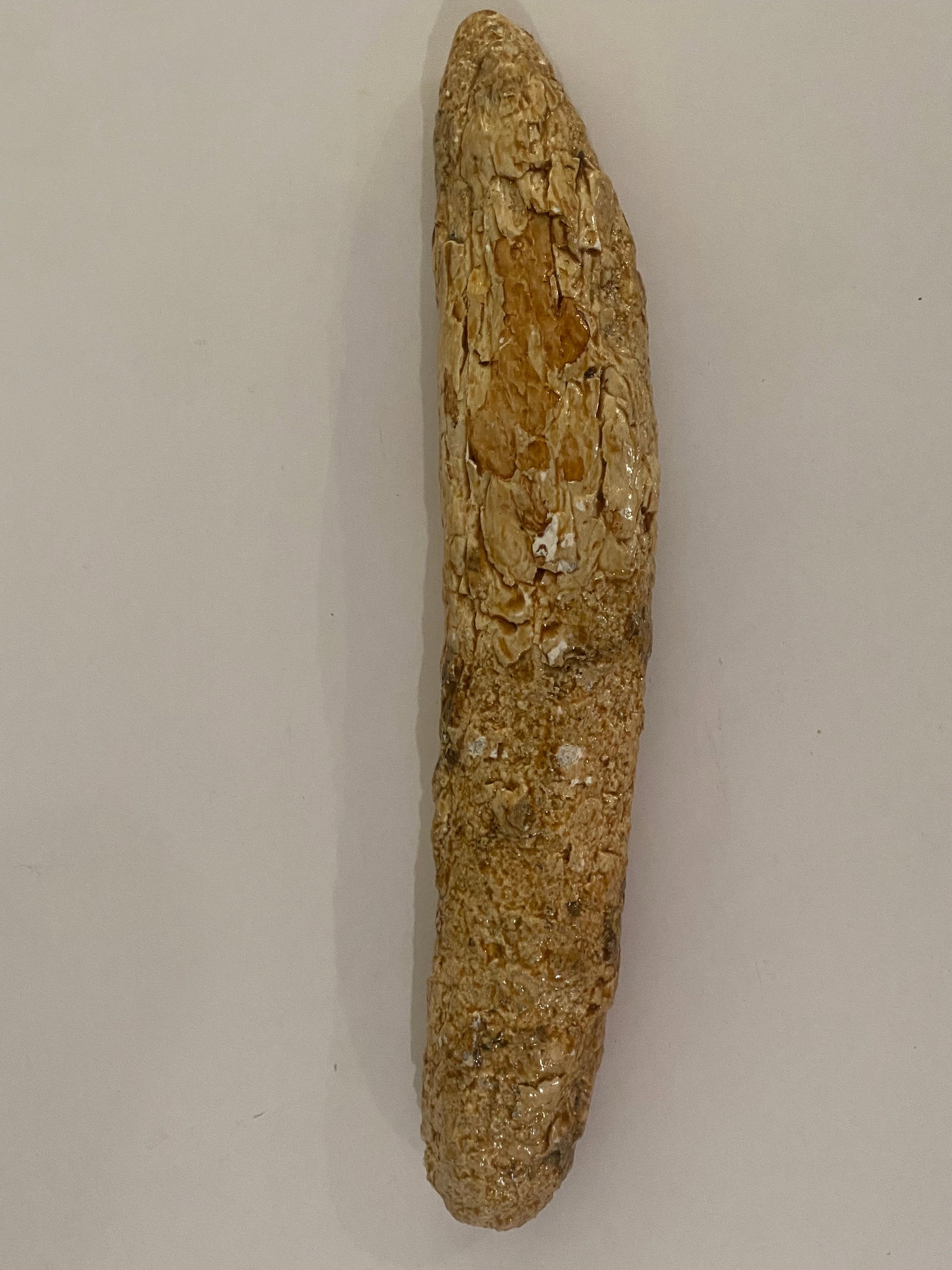 Fossilized Mammoth Tusk Fragment - 2