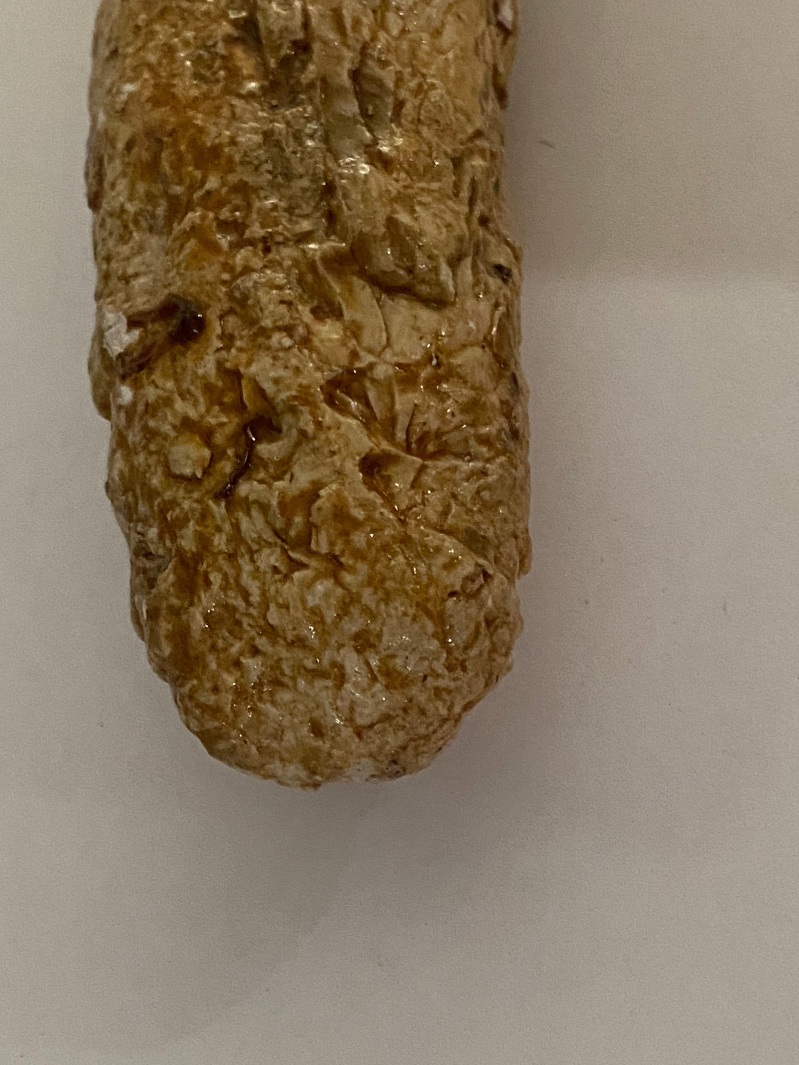 Fossilized Mammoth Tusk Fragment - 3