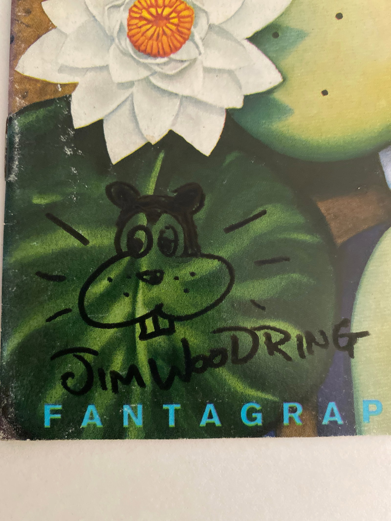 Jim Woodring Signed Comic Book - 2
