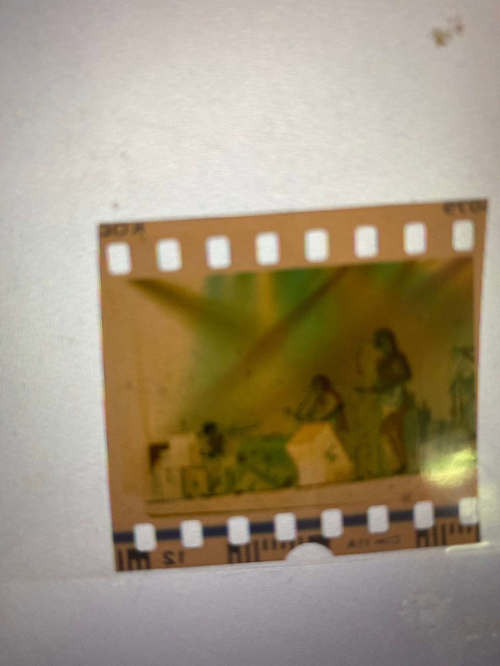 Phish Original Ebbet Roberts Negative - 2