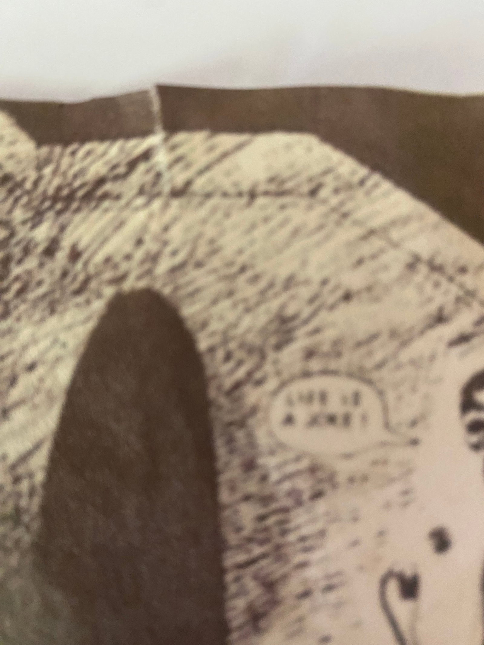 Black Flag Original Concert Flyer - 3