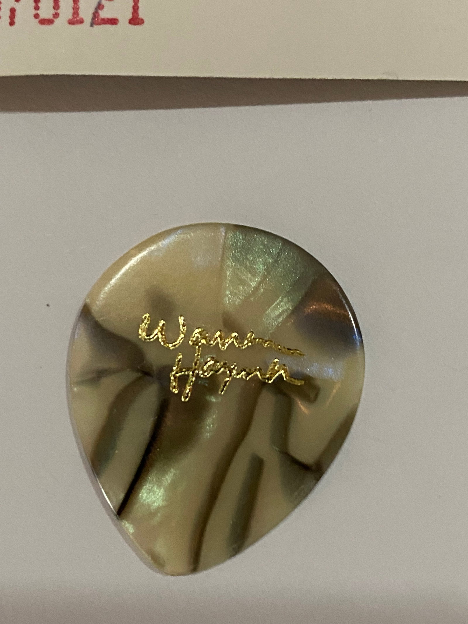 Warren Haynes Singed Ticket and Concert Used Guitar Pick - 2