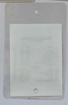 Weenie Roast 2000 Music Festival Crew Backstage Pass - 2