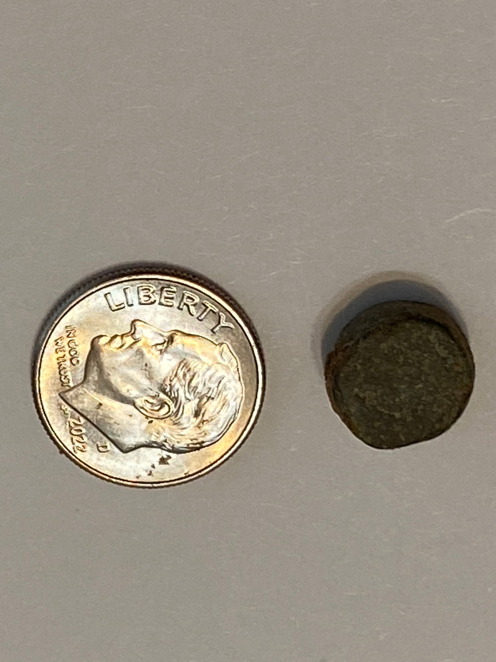 Ancient BCE Shipwreck Found Artifact - 3