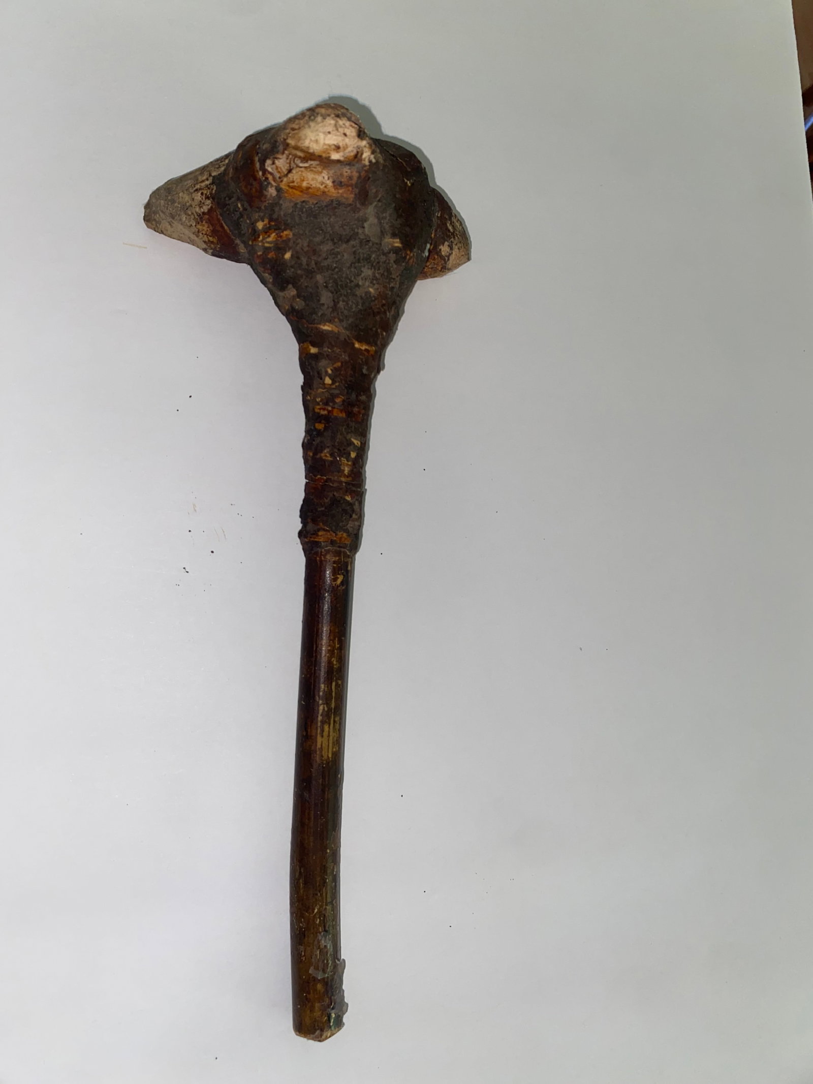 Native American Antique Ceremonial Staff - 2