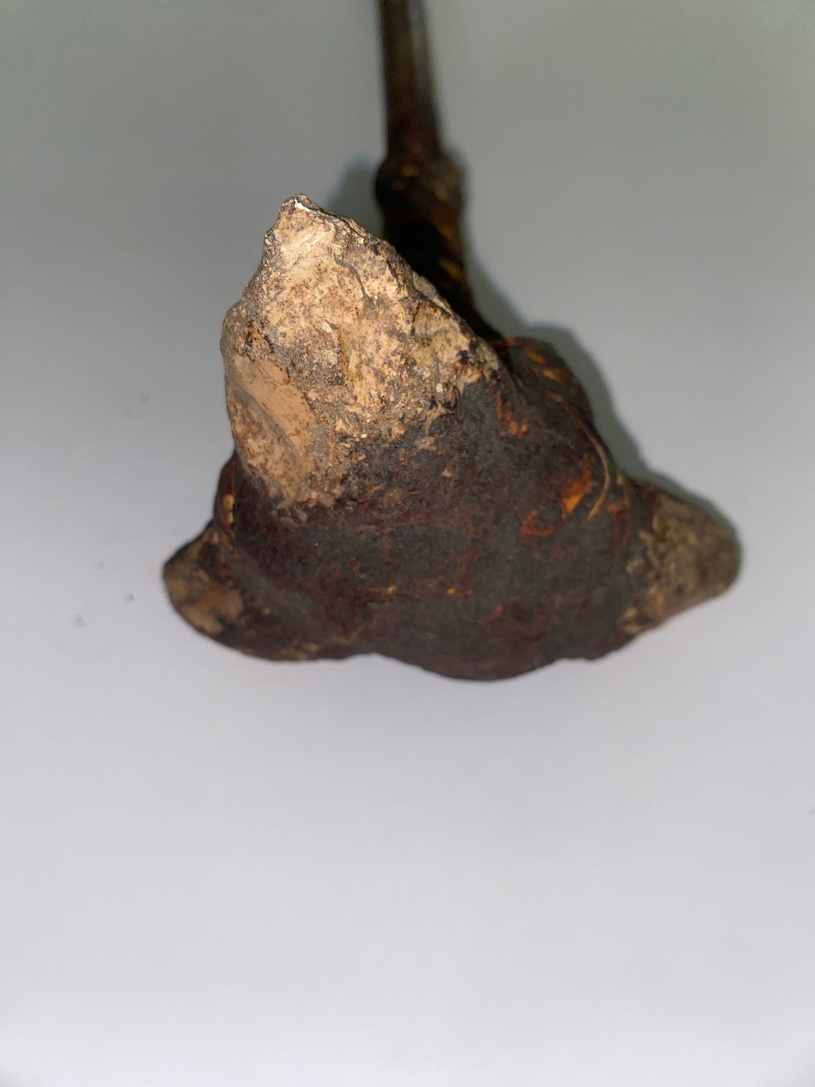 Native American Antique Ceremonial Staff - 4