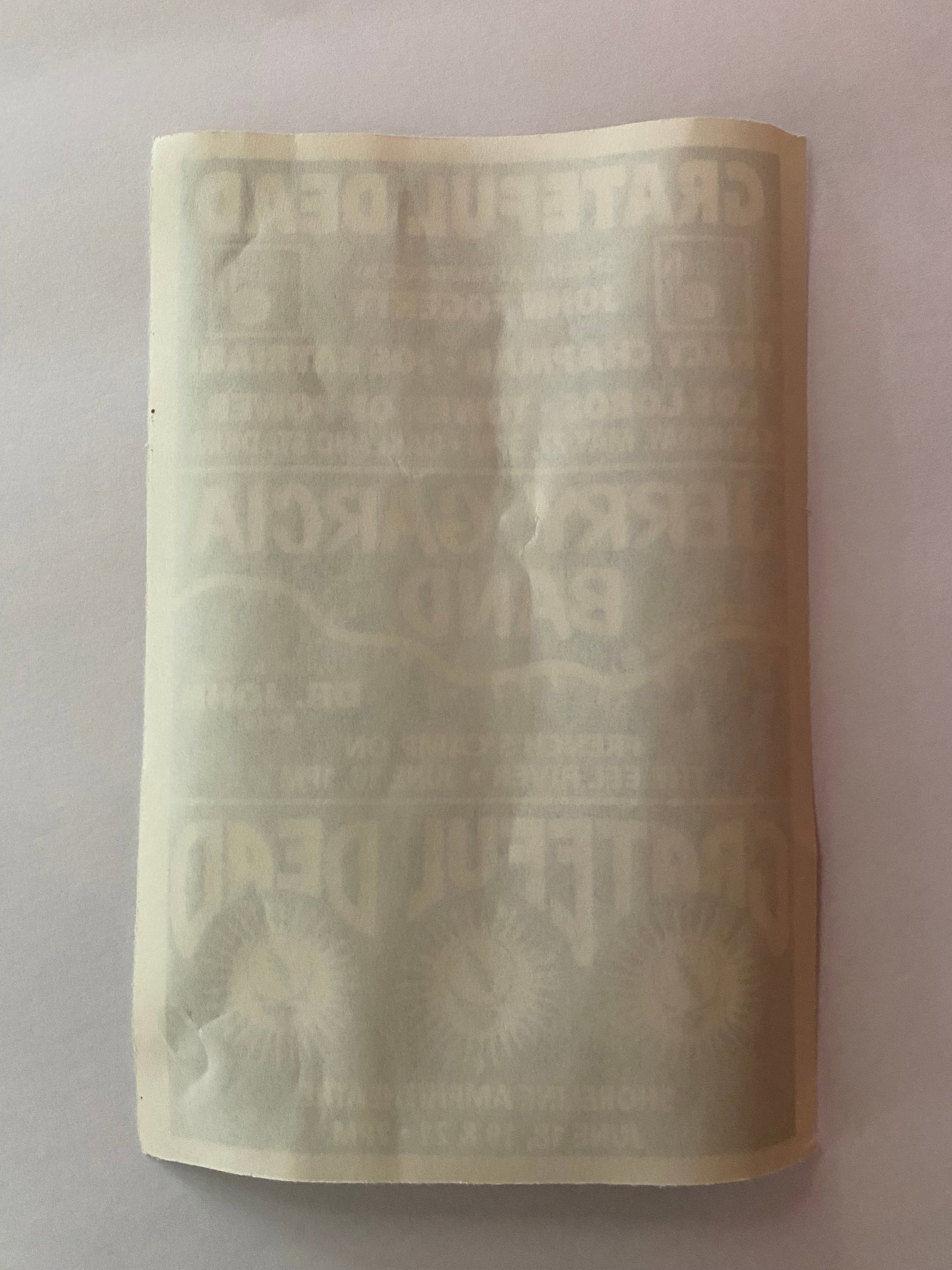 Grateful Dead Concert Flyer - 2