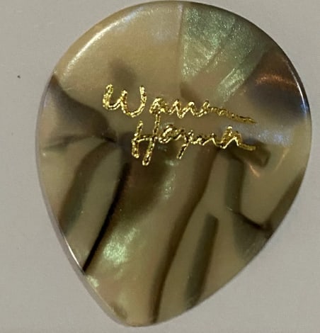 Warren Haynes Concert Used Guitar Pick: Warren Haynes is an acclaimed guitarist, vocalist, and songwriter best known for his work with Gov't Mule, The Allman Brothers Band, and as a longtime collaborator with the Grateful Dead community