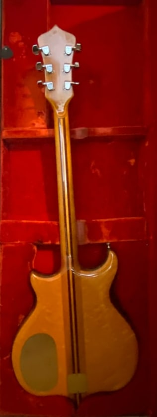 1976 Alembic Guitar - 4