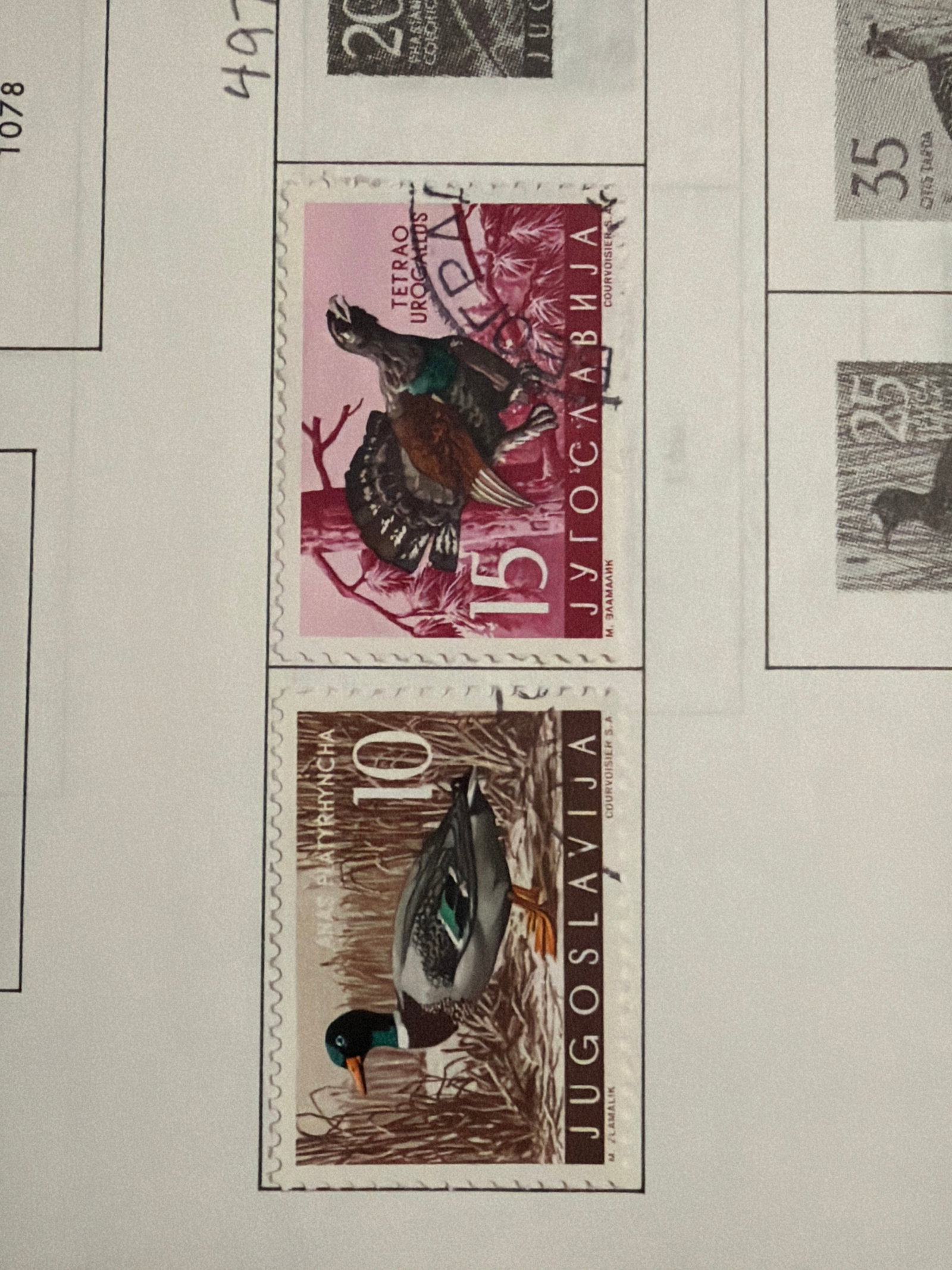 Yugoslavia Mallard Duck and Capercaillie Bird Stamp Pair (1 of 1)