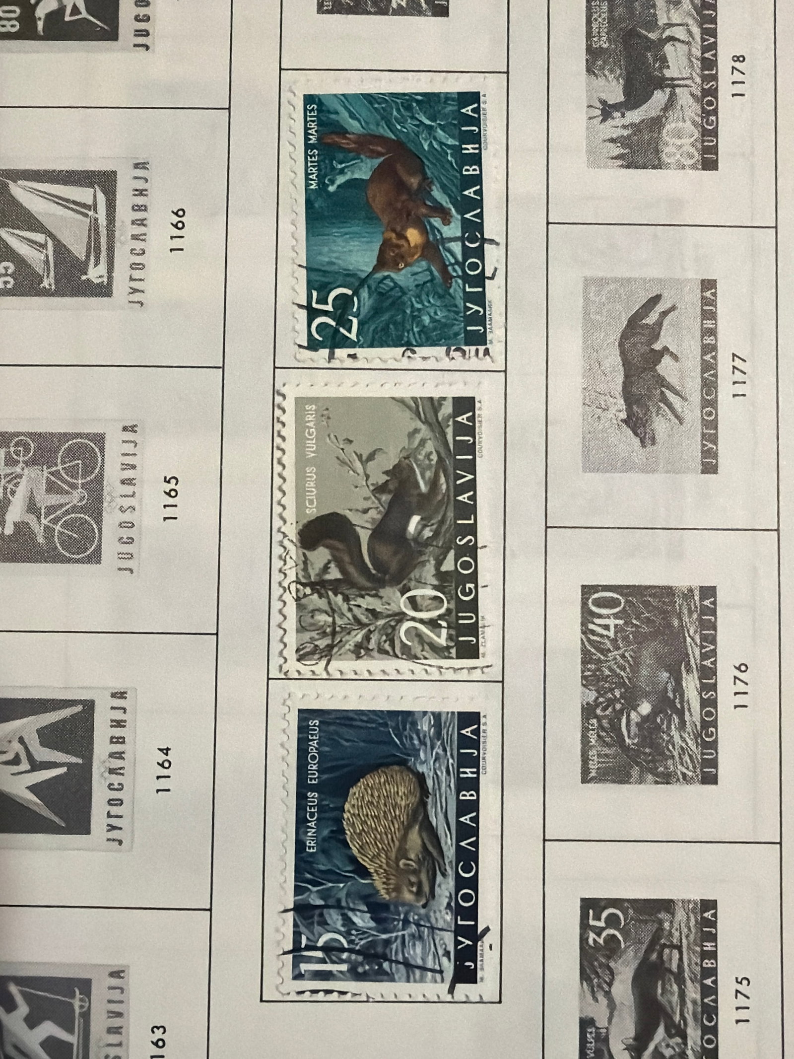 Yugoslavia European Hedgehog Squirrel and Pine Marten Stamp Trio (1 of 1)