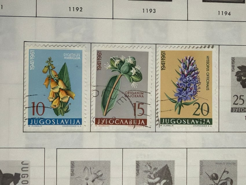 1961 Yugoslavia Medicinal Flowers Three-Stamp Set (1 of 1)